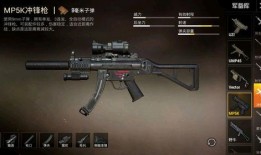 新冲锋枪爆料视频大全,性能解析与实战展示