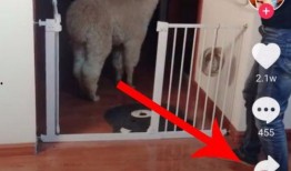 抖音爆料私信怎么发送视频,抖音爆料私信发送视频教程